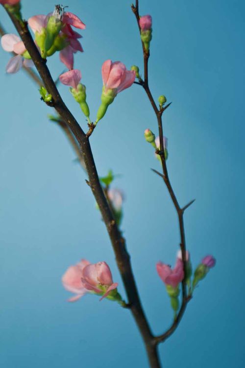 Osteopathie Lyssewski - Praxis an der Wakenitz in Lübeck